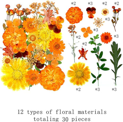 60 Pieces Fall Dried Pressed Flowers Orange Natural Dry Flowers for Crafts,Resin Mold,Scrapbooking,Candle,Soap Making,Embellishment Decorations