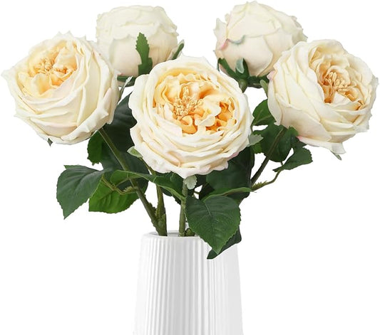 IPOPU 5PCS Real Touch Austin Roses Champagne Flowers Peony Artificial Flowers Fake Roses with Stems for Wedding Bouquet Party Home Decor(Champagne)