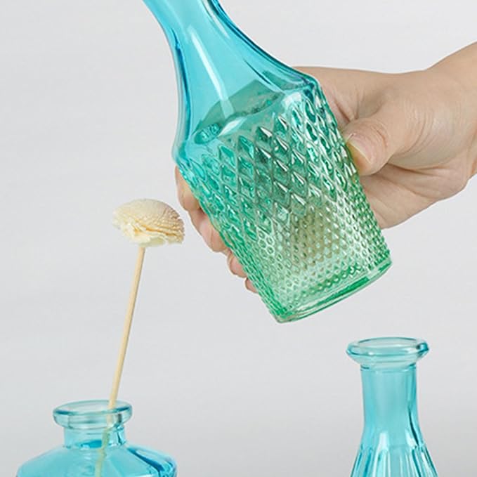 5Pieces Embossing Glass Vases Set Gradients Small Flower Buds Vases for Home Decors and Centerpieces Floral Arrangements