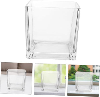 NUOBESTY Clear Thickened Square Glass Vase for Hydroponic Plants Modern Decorative Flower Container Smooth Touch Table Centerpiece for Home and Office