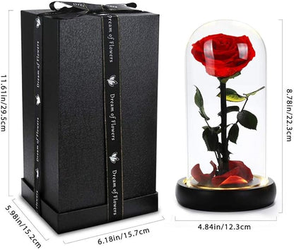 Christmas Unique Gifts for Her,Christmas Flowers for Delivery Prime,Beauty and The Beast Rose in Glass Dome,Birthday Gifts for Women Her Mom Wife Girl Grandma on Thanksgiving Anniversary Valentines