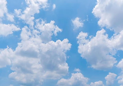 Clouds Wallpaper for Ceiling Blue Sky and White Cloud Wall Mural for Living Room Bedroom Bathroom(Not Self-Adhesive)