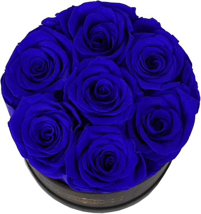 NATROSES 7 Piece Preserved Roses in a Box, Preserved Flowers for Birthday, Flower Gifts for Mothers Day (Royal Blue)