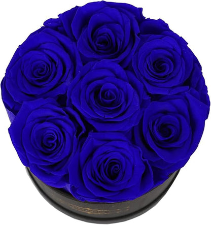 NATROSES 7 Piece Preserved Roses in a Box, Preserved Flowers for Birthday, Flower Gifts for Mothers Day (Royal Blue)