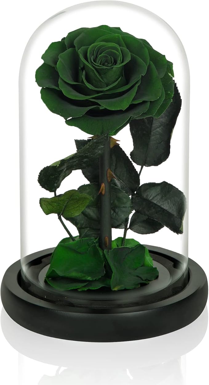 NATROSES Handmade Preserved Roses in Glass Dome, Green Roses, Preserved Flowers Gifts for Women, Mothers Day Flowers