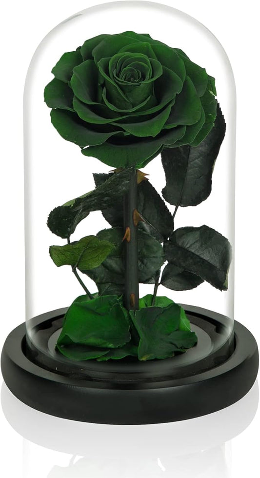NATROSES Handmade Preserved Roses in Glass Dome, Green Roses, Preserved Flowers Gifts for Women, Mothers Day Flowers