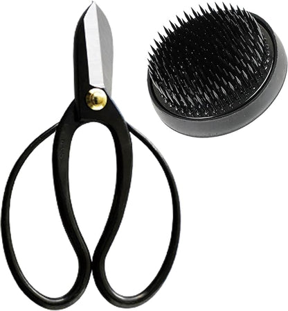 Wazakura Made in Japan Ikebana Tool Kit - Koryu Scissors + Black Kenzan Flower Holder, Japanese Floral Arrangement Set, Florist Shears and Pin Frog Gift Box Set - Koryu and Black Kenzan 2.4" (61mm)