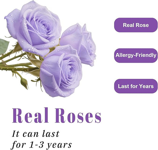 Luxury Preserved Roses – Forever Real Roses Flowers for Delivery in a White Box, Preserved Flowers Birthday Gifts for Women Mom Wife, Ideal for Anniversary (Purple 16 Roses, 16 Roses)