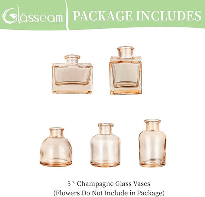 Glasseam Champagne Glass Bud Vase: Mini Small Vases for Centerpieces Cute Flower Vase Set of 5 Tiny Vases for Flowers Decorative Centerpiece for Table Decor Wedding Party Dining Room Decoration