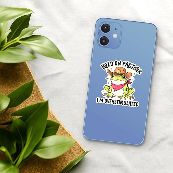HANDICHI Design 5-Pack 6 Inch Hold On Partner I’m Overstimulated Stickers – Funny Meme Vinyl Decals for Water Bottles, Laptops, Journals, Scrapbooks – Sarcastic Gift for Frog Lovers