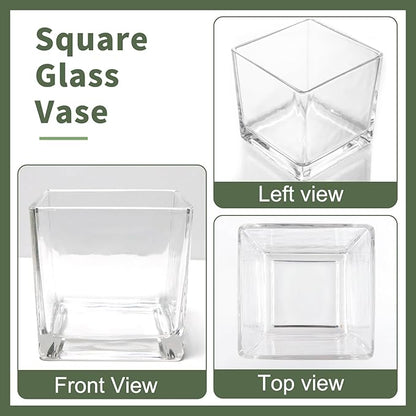 6 Pack Square Glass Vases 5 x 5 x 5 Inch, Clear Cube Flower Vases for Centerpieces, Candle Holders for Wedding Party Home Decor