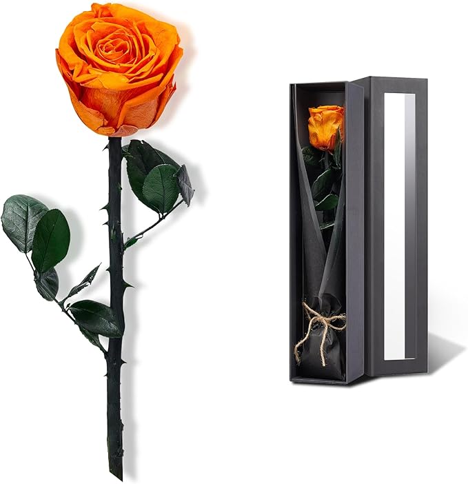 Orange Flowers for Delivery Prime, Preserved Orange Roses Flower Gifts for Women, Real Roses Single Rose Gifts for Her, Mom Birthday Gifts from Daughter, Valentines Flowers