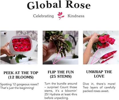 GlobalRose Fresh Cut Red Roses - 50 (2 Bundles of 25) - Real Fresh Flowers Bouquet for Mother's Day, Birthday, Anniversary, Bridal Shower, or Home Decor - Flowers Delivery Gift