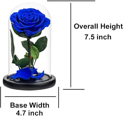 Preserved Roses Royal Blue Roses in Glass Dome, Medium, Preserved Flowers for Women