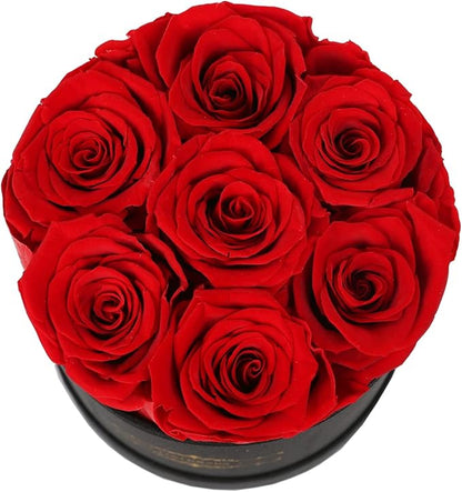 NATROSES 7 Piece Preserved Roses in a Box, Preserved Flowers for Birthday, Flower Gifts for Mothers Day (Red)