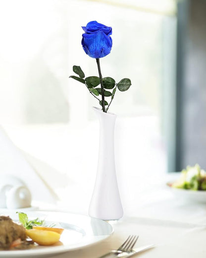 Blue Flowers for Delivery Prime, Preserved Blue Roses Flower Gifts for Women, Real Roses Single Rose Gifts for Her, Mom Birthday Gifts from Daughter, Valentines Flowers