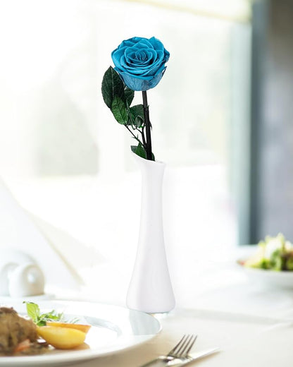 Loyal Blue Flowers for Delivery Prime, Preserved Blue Roses Flower Gifts for Women, Real Roses Single Rose Gifts for Her, Mom Birthday Gifts from Daughter, Valentines Flowers