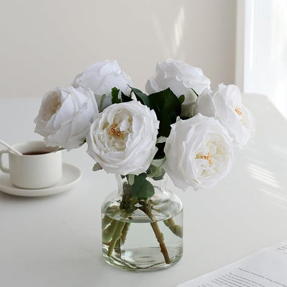 6Pcs Fake Austin Rose Peonies Flowers with Vase, Clear Glass Vase with White Real Touch Peonies Artificial Flowers Home Decor(White)