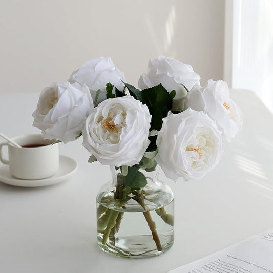 6Pcs Fake Austin Rose Peonies Flowers with Vase, Clear Glass Vase with White Real Touch Peonies Artificial Flowers Home Decor(White)