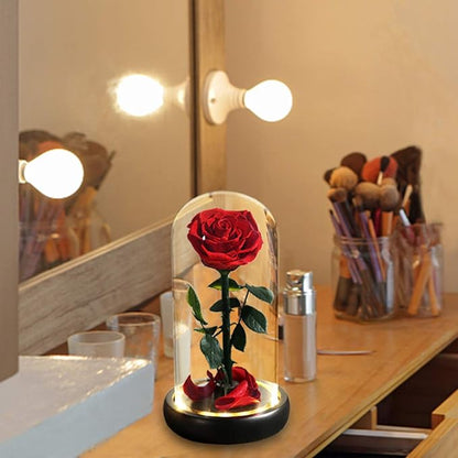 Christmas Flower Gifts for Women,Mom Gifts,Beauty and The Beast Rose in Glass Dome,Preserved Rose with Lights,Flower for Delivery Prime,Forever Flowers Birthday Gifts for Women Mom Wife Girlfriend