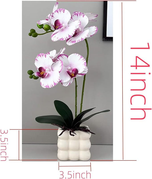 Artificial Orchids in Vase, White Purple Edged, 14 in Height, Home Decor Orchid Artificial Flowers