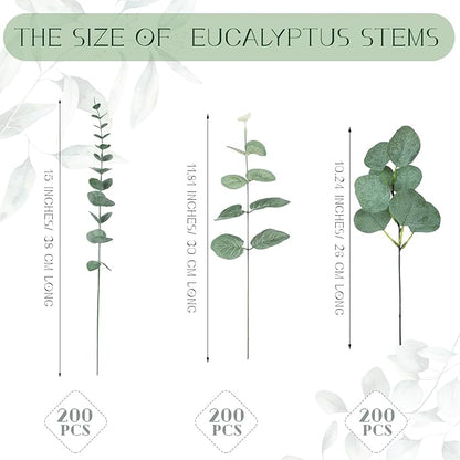 Giegxin 600 Pcs 3 Kinds Mixed Eucalyptus Leaves Stems Bulk Artificial Silver Dollar Leaves Picks Dried Eucalyptus Bundle Faux Spray for Wedding Vase Bouquet Floral Arrangement (Green)