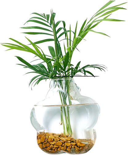 Wall-Mounted Acrylic Planter for Hydroponic Plants – Plum Blossom Vase, Modern Transparent Design for Home & Office Decoration