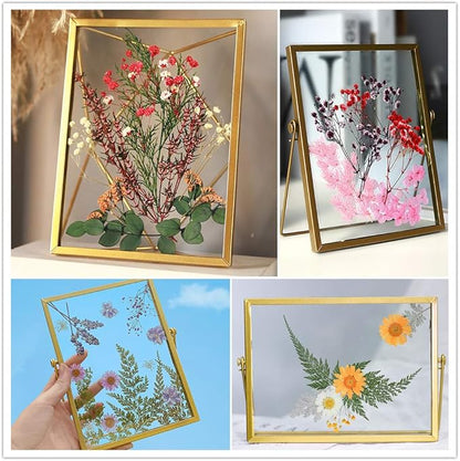 Vignee Real Dried Pressed Leaf Flowers-Multiple Colorful Pressed Flowers Daisies for Craft Resin Jewelry Making Art Craft DIY（White）