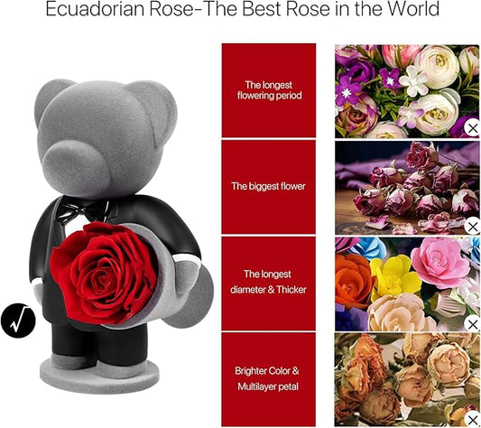 JoyFlower Preserved Flowers with Cute Teddy Bear in Suit, Unique Gentleman Bear Eternal Real Red Rose Romantic Gift with Elegant Gift Box for Girlfriend Wife Her in Valentines Birthday Anniversary