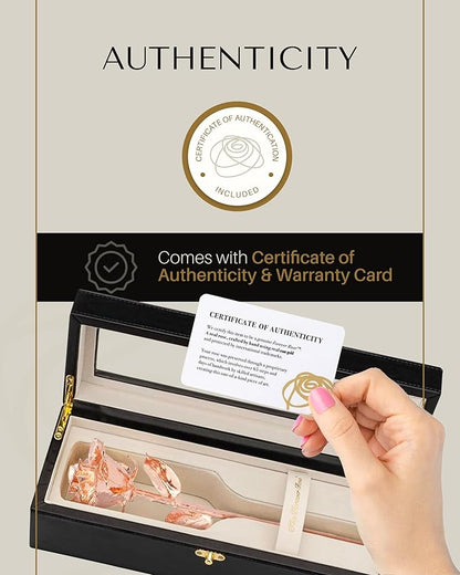 Forever Rose Real Rose Dipped in Rose Gold, Handcrafted Preserved Rose in Luxury Leather Display Case with LED Light, Romantic Gift for Her, Elegant Keepsake for Anniversary, Birthday Special Occasion