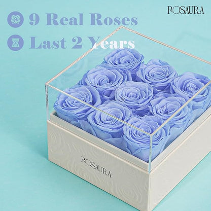 Rosaura Square Preserved Roses Gift Box - Real Forever Flowers in Clear Acrylic Lid, Valentine's for Women (Sky Blue, 9 Roses)
