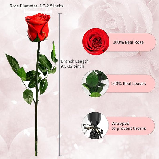 Red Single Forever Roses in a Box,Preserved Flowers for Delivery,Preserved Rose Gifts for Women, Real Roses Gift for Her, Mom Birthday Gifts, Mothers Day Flowers,Valentines Flowers