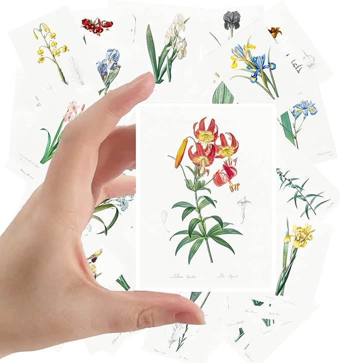 Large Stickers 24 pcs (2.5"x3.5" Each) Iris Lillies Vintage Botannical Books Illustrations by Redoute Retro Postcards Greeting Card Reprint