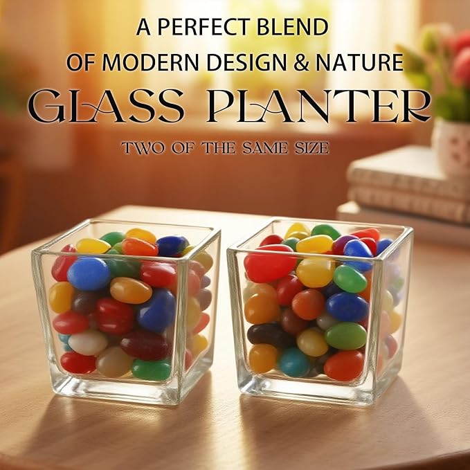 Set of 6 Square Glass Vases for Centerpieces – 5in x 5in x 5in Clear Short Flower Vase, Plant Terrariums, or Candle Holders for Wedding Centerpieces, Office Decor, Home Décor, Parties