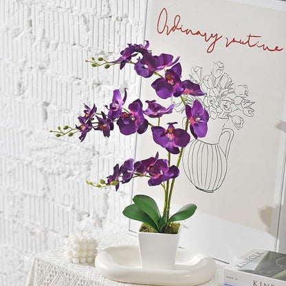 Faux Orchid in Vase Artificial Orchid in Ceramic Vase Tall Silk Orchids with Stems Real Look Phalaenopsis Flowers Arrangement Centerpiece Table Decorations for Home Decor Indoor, Dark Purple