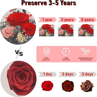FIACO Valentines Gifts for Her Preserved Flowers in Glass Dome Long-Lasting Eternal Roses Birthday Gifts for Women Mom Grandma Wife Girlfriend Red Forever Flowers for Delivery Prime