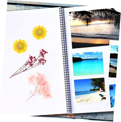 Natural Dried Flowers Material Bag for DIY Crafts Pressed Floral Bouquet Making Kit Romantic Handcraft Supplies for Greeting Cards Home Decoration and Wedding Embellishments
