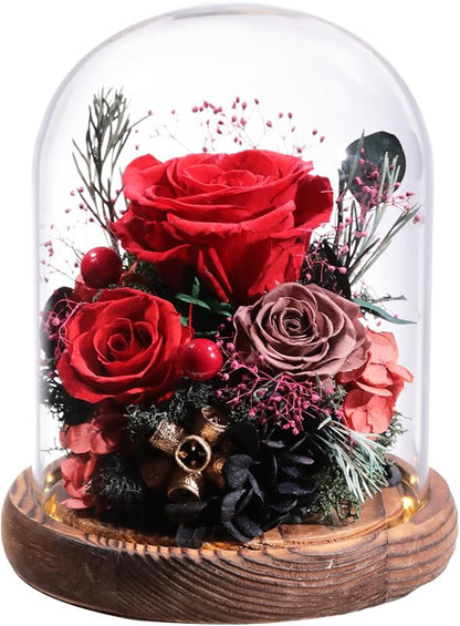 Flowers for Delivery Preserved Rose Gifts for Her,Long-Lasting Real Roses Flowers in Glass Dome,Birthday Gifts for Women Mom Wife Friend(Red Rose)