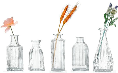 Glass Bud Vase Set of 5, Mini Clear Bud Vase for Centerpieces in Bulk, Small Vintage Flower Vases for Weddings Parties Home Table Decorative