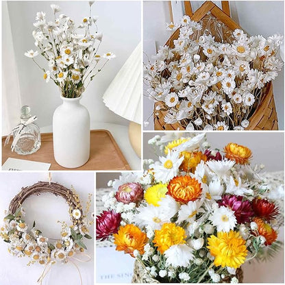 Dried Daisy Flowers Bouquet, 250+ Dry White Flowers, Artificial Sunflowers, 17'' Natural Gerber Daisies Arrangements for Farmhouse Vase Decor, Wedding, DIY Home Office Party Decoration