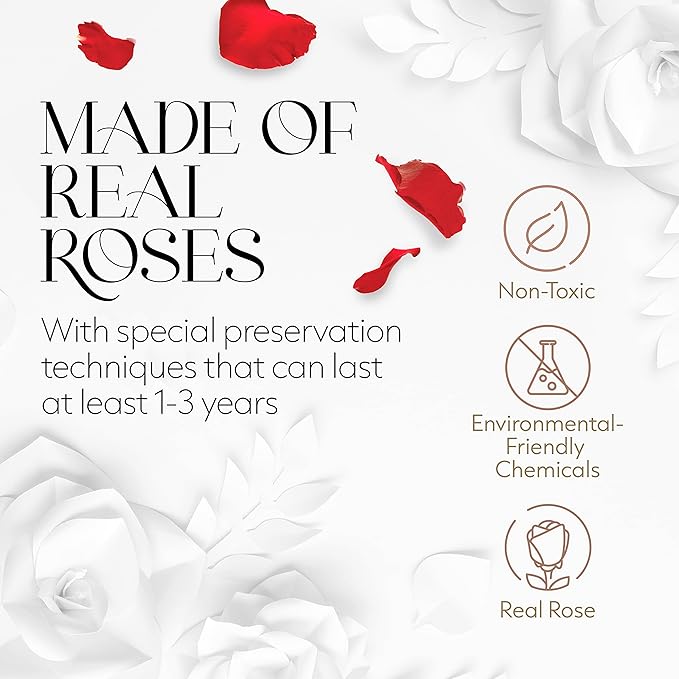 GLAMOUR BOUTIQUE Eternal Preserved Roses in a Box - Flowers Forever, Rose Forever in a Box for Wife, Birthday Gifts for Her, Single Rose, Red