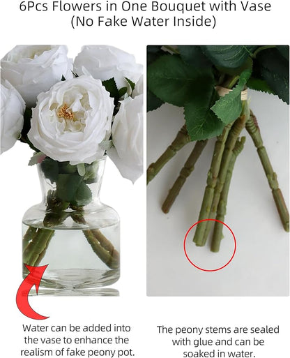 6Pcs Fake Austin Rose Peonies Flowers with Vase, Clear Glass Vase with White Real Touch Peonies Artificial Flowers Home Decor(White)