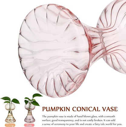 VANZACK 2Pcs Vintage Handblown Glass Pumpkin Vase Small Clear Flower Pots in Pink and Light Orange for Home Kitchen Office Decor Cute Wide-Mouth Design Smooth Surface Easy to Clean
