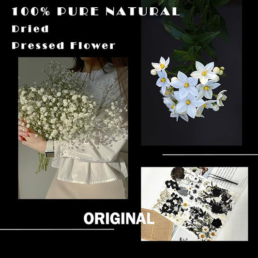 84Pcs Black Dried Pressed Flowers for Resin Molds, Bulk Real Natural Dry Floral for DIY Art Crafts, Epoxy Jewelry, Candle, Soap Making, Nails Decor, Phone Case
