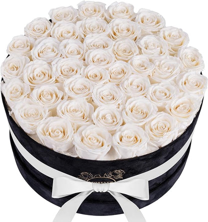 40 Pieces Preserved Roses in Suede Box, Flowers for Mothers Day, Preserved Flowers Gift for Women, White
