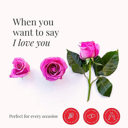 BloomsyBox- Light Pink Roses -24 Long Stems, Long Lasting, Hand-Tied in Eco-friendly, Vase Not Included, Fresh Flowers for Delivery – Gift for Birthday, Anniversary,Congratulations, Wedding