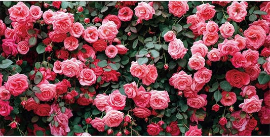 14x10ft Art Studio Flower Photo Background Pink Rose Photography Backdrop for Pictures Newborn Bridal Shower Birthday Party Banner Decor Photo Studio Props