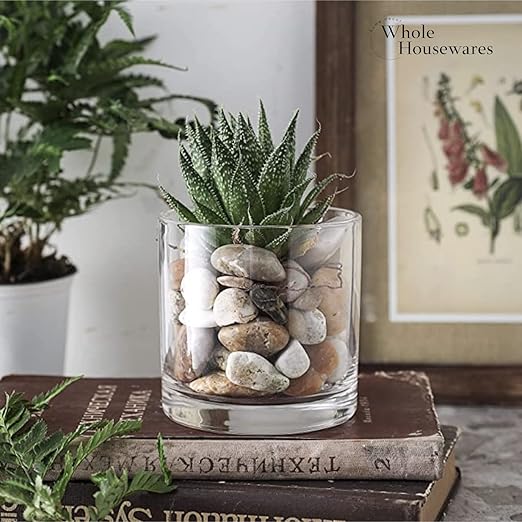 WHOLE HOUSEWARES | 4"X4" Glass Cylinder Vase | Candle Holder | Decorative Centerpiece Arrangement for Wedding Party Event Home Office Decor | Set of 6