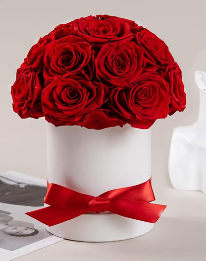 Preserved Roses Dome in a Box, Forever Real Roses Decor, Eternal Flowers for Delivery Prime, Best Gifts Birthday, Wedding, Anniversary, Mother's Day, Christmas for Her, 18-Pieces (Red)