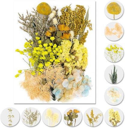Vignee Real Dried Pressed Leaf Flowers-Multiple Colorful Pressed Flowers Daisies for Craft Resin Jewelry Making Art Craft DIY and Soap Candle Scrapbooking DIY Resin（Yellow）